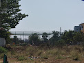 Turf Image